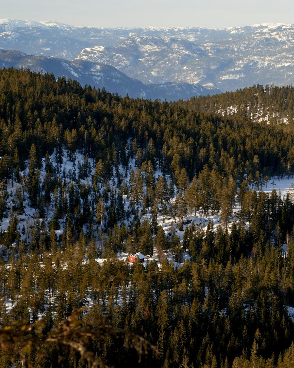 Cendravex Quinthal Hotel Mountain View