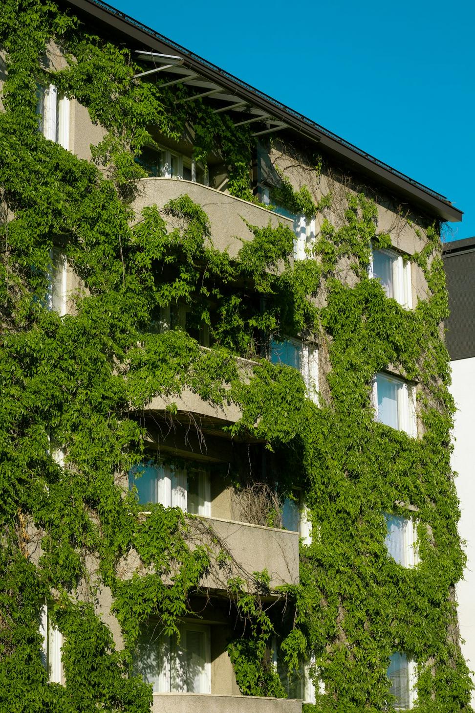 Green Initiative
